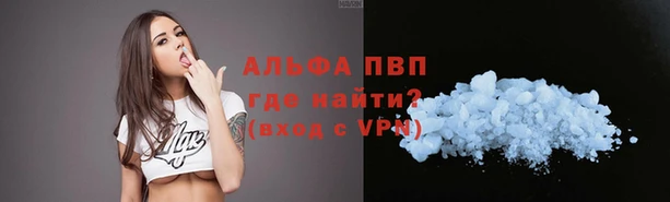 спиды Покачи