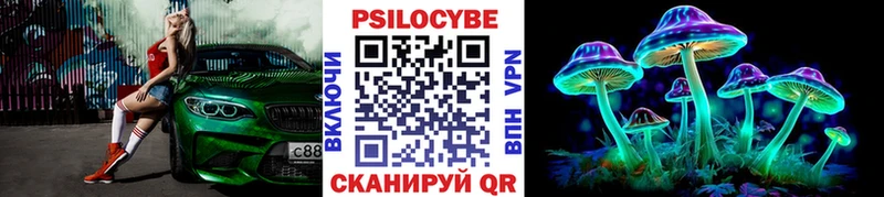 Псилоцибиновые грибы ЛСД  Приморско-Ахтарск 