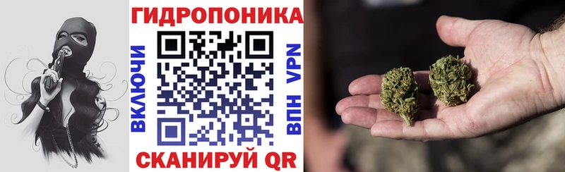 купить наркотик  Приморско-Ахтарск  Бошки Шишки план 